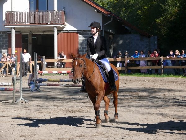 Babie Lato z Hucułami 2015